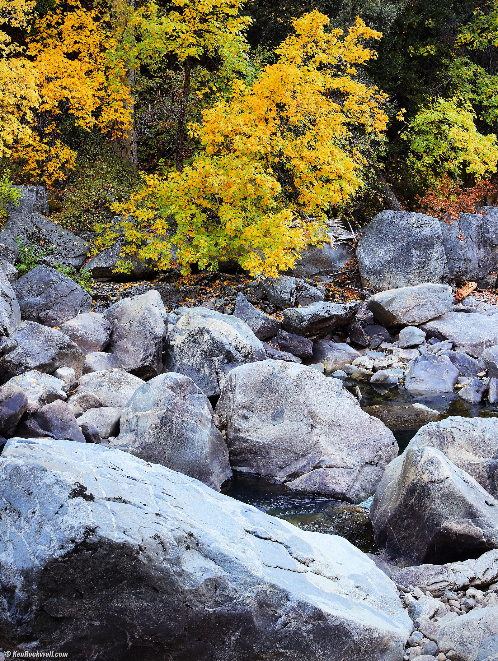 Granite, Green and Yellow, Yosemite Valley