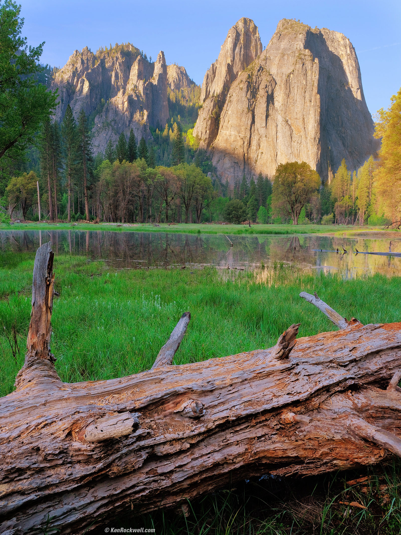 Yosemite Valley at Sunrise with Fallen Tree in Foreground