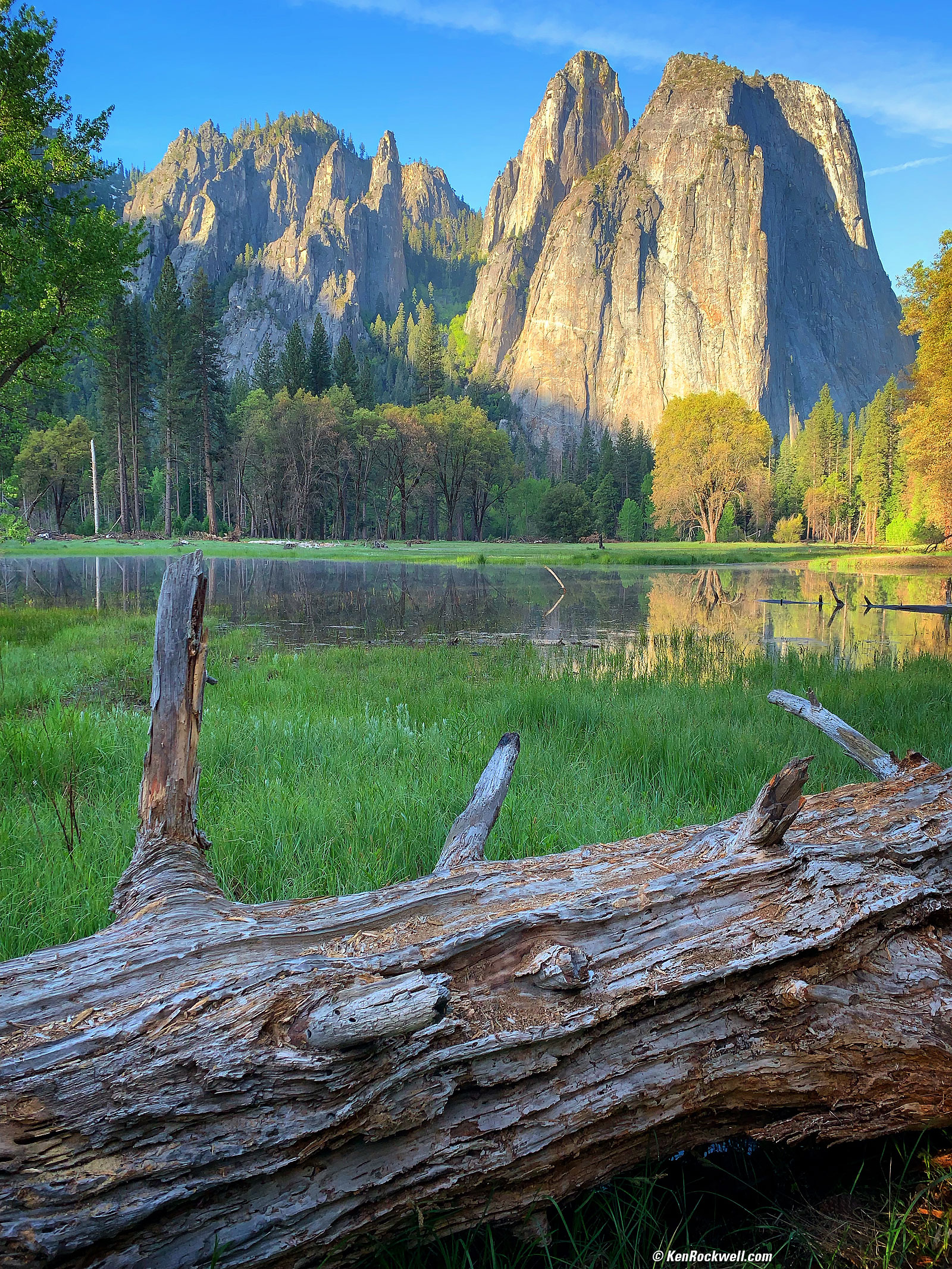 Yosemite Valley at Sunrise with Fallen Tree in Foreground
