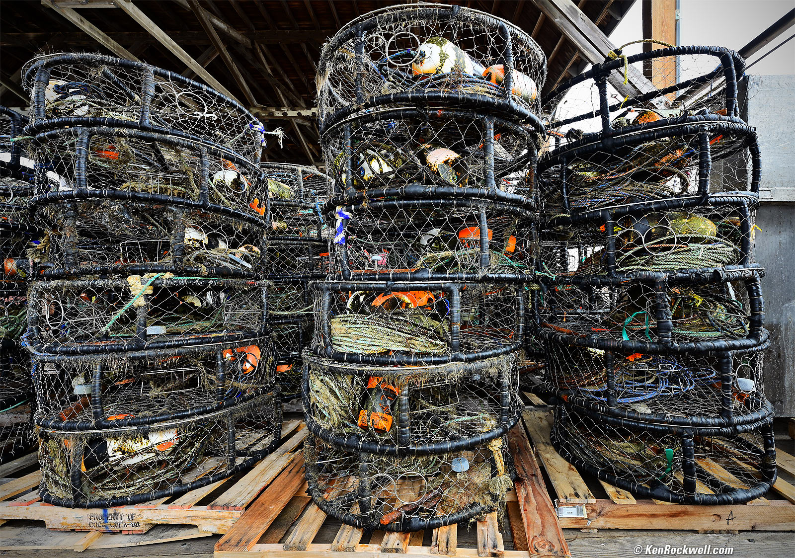 Traps, Avila Beach Pier, Port San Luis, California