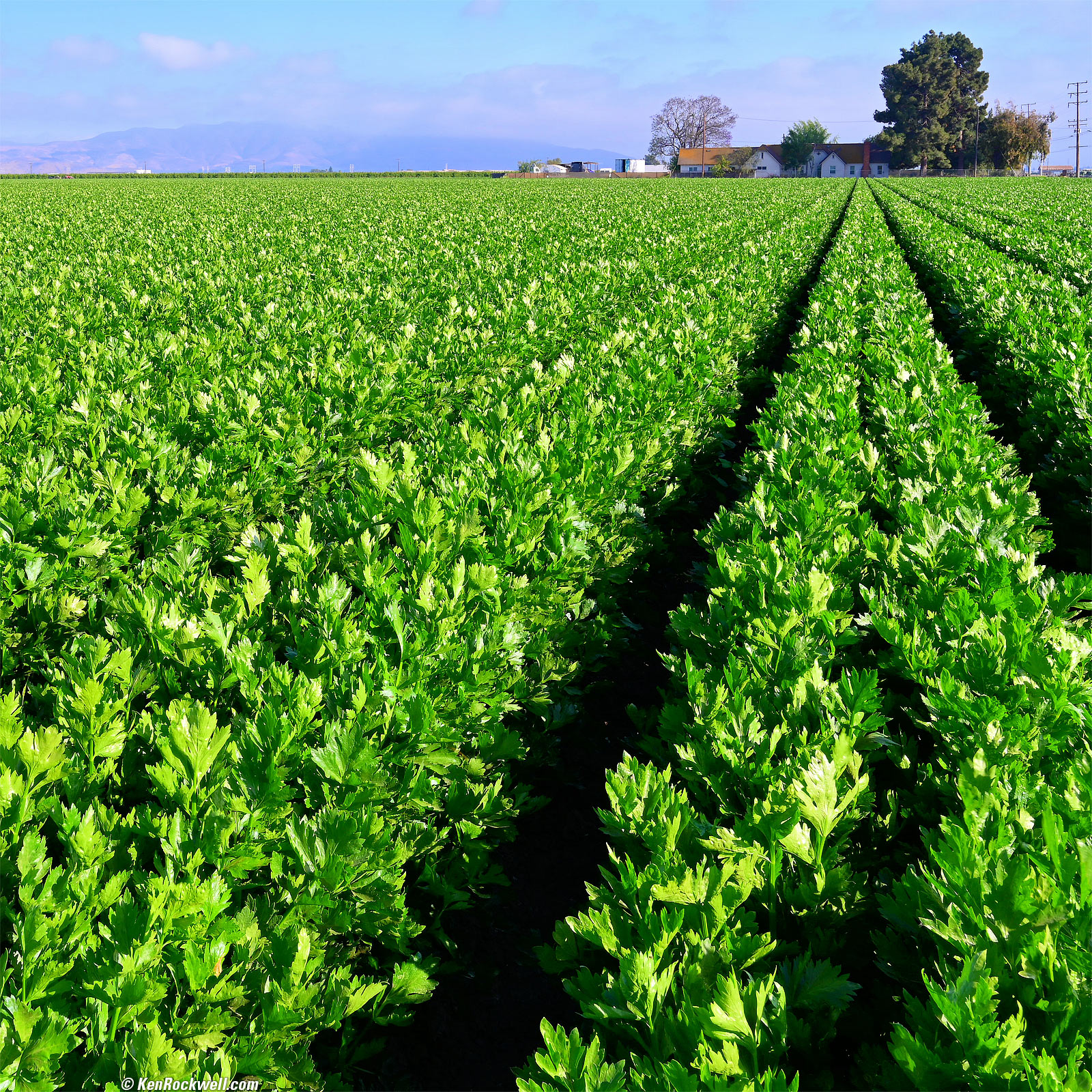 Giuseppe's Restaurant, San Luis Obispo, California