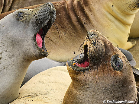 Morro Rock at Sunset