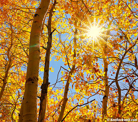 Eastern Sierra Fall 2025