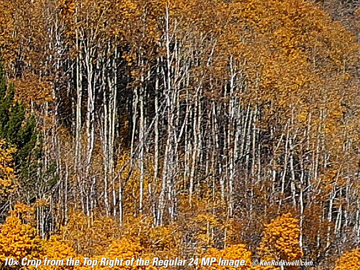 Fall Color, June Lake Loop, California