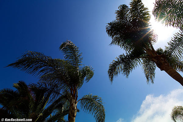 Voigtlander 21mm f/1.8 flare