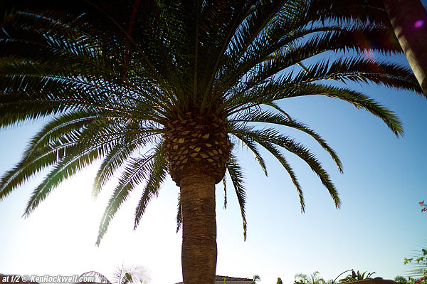 Voigtlander 28/2 flare