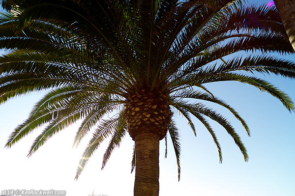 Voigtlander 28/2 flare