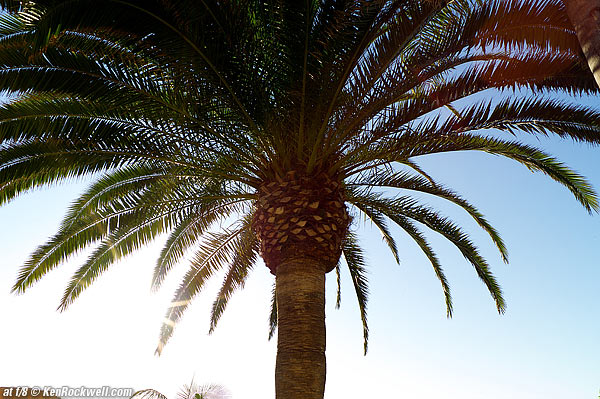 Voigtlander 28/2 flare