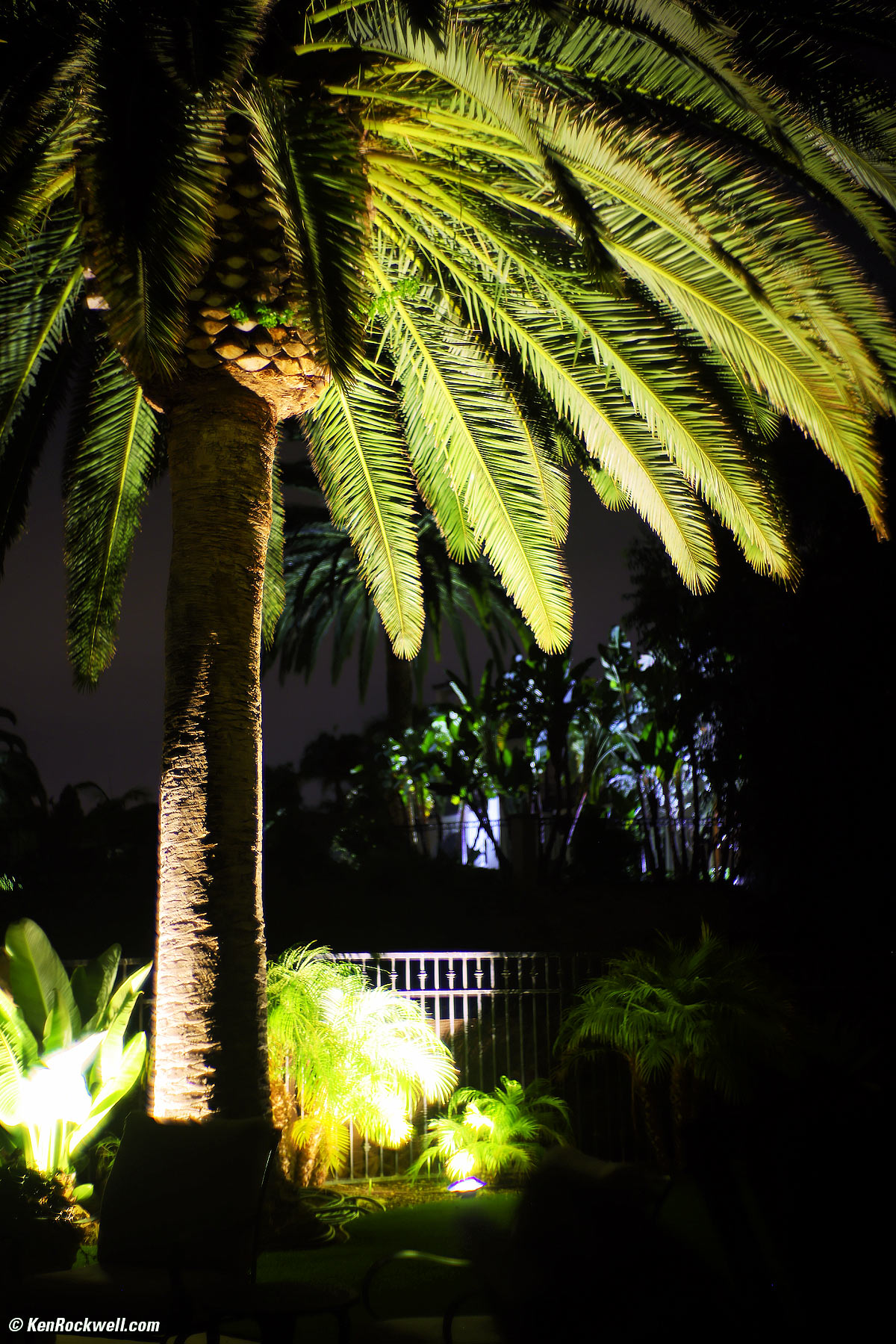 Zeiss Sonnar 50mm f/1.5 Sample Image File