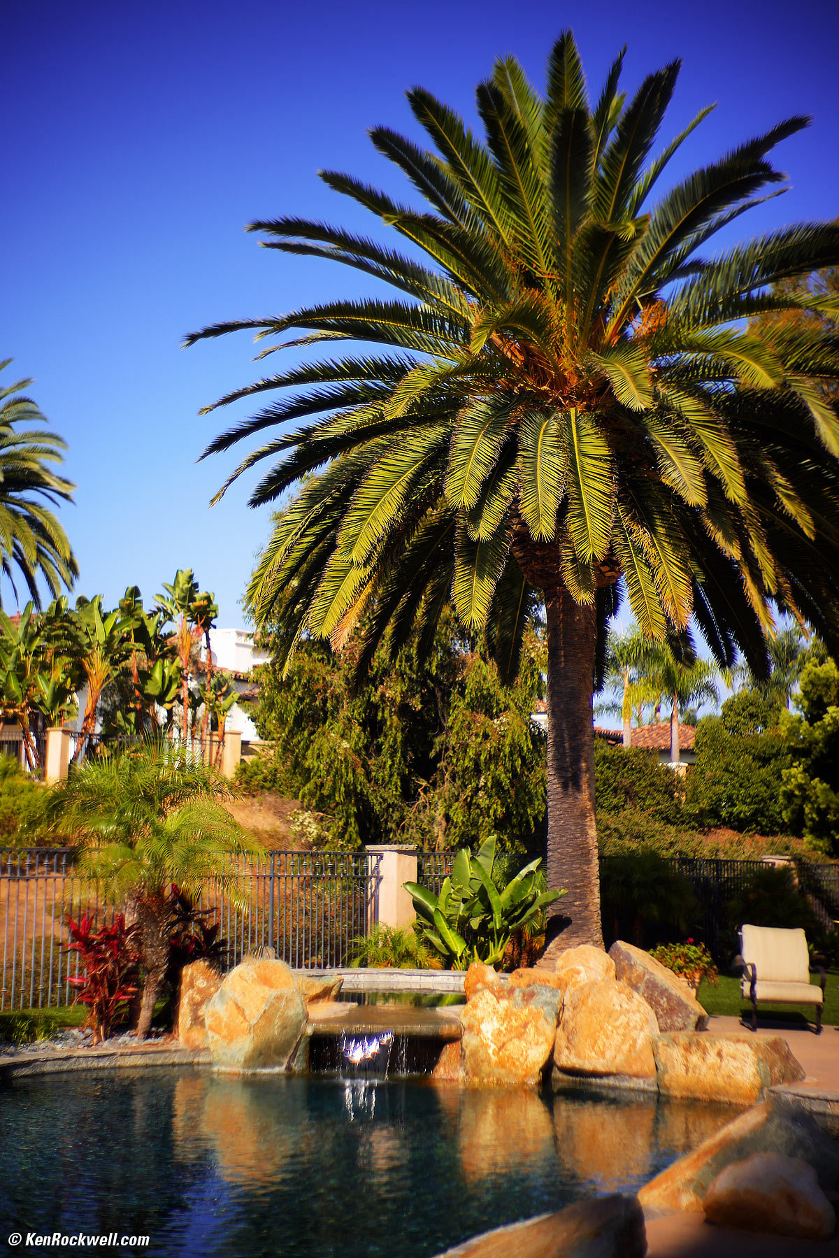 Zeiss Sonnar 50mm f/1.5 Sample Image File