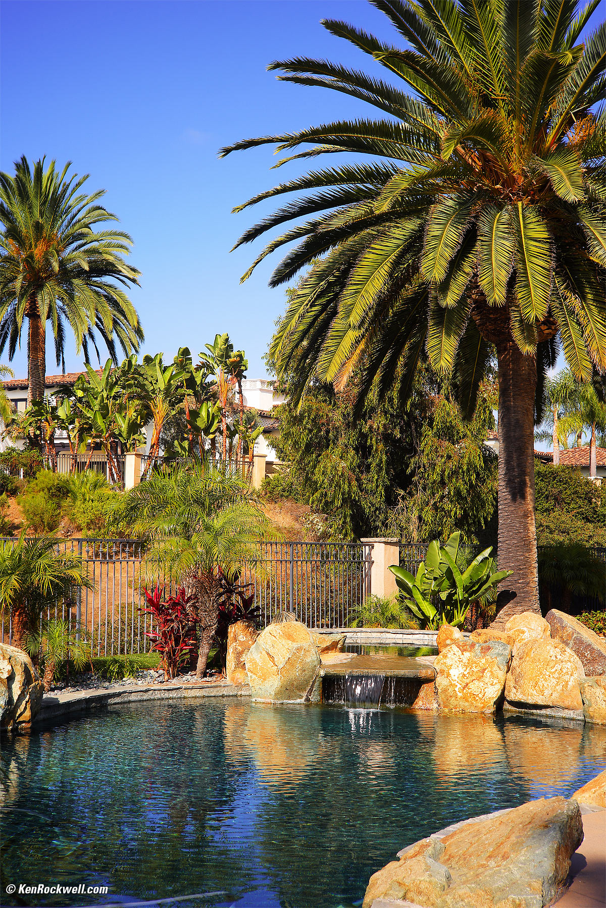 Zeiss Sonnar 50mm f/1.5 Sample Image File