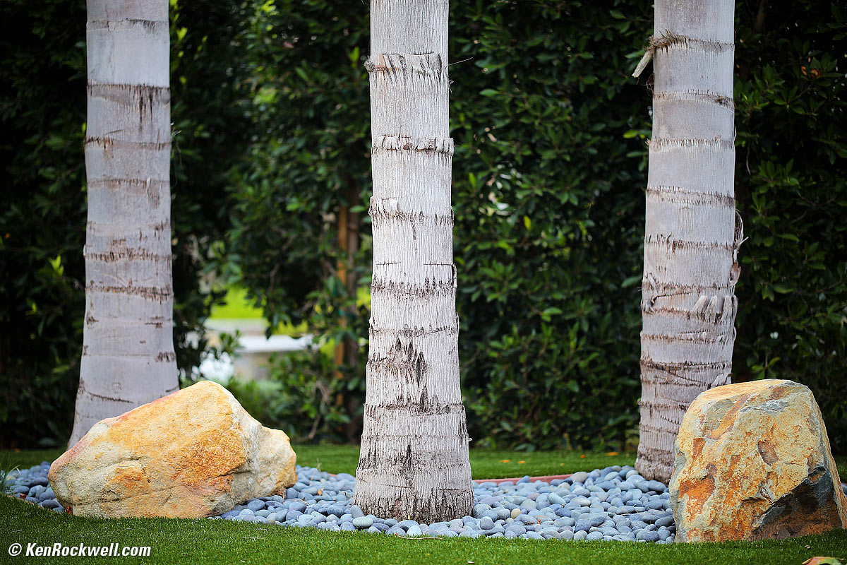 Zeiss Otus 100mm f/1.4 Sample Image File