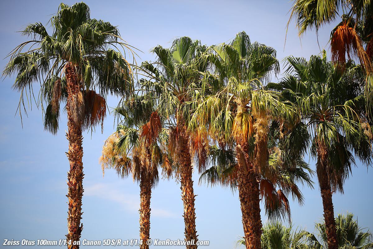Zeiss Otus 100mm f/1.4 Sample Image File of a Trek Emonda SLR 8