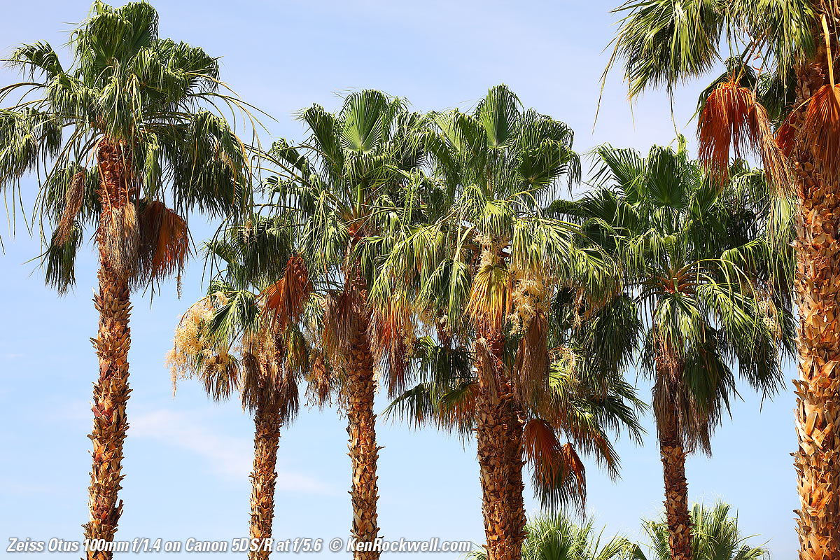 Zeiss Otus 100mm f/1.4 Sample Image File of a Trek Emonda SLR 8