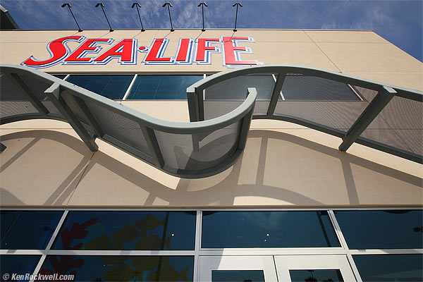 SeaLife 14 March 2012