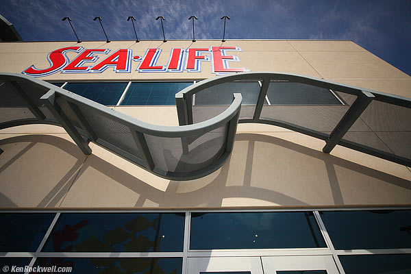 SeaLife 14 March 2012